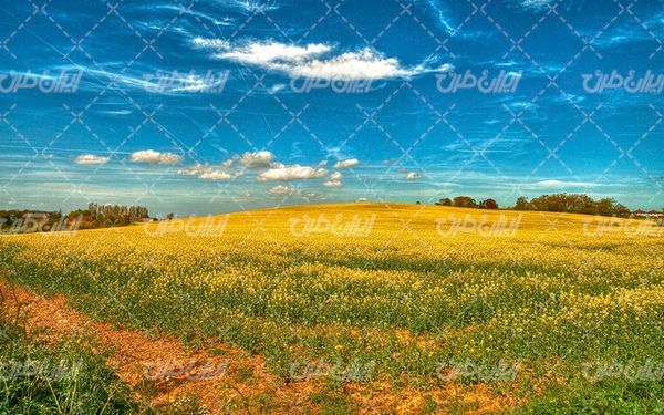 تصویر با کیفیت چشم انداز زیبای فصل بهار همراه با منظره و طبیعت زیبا