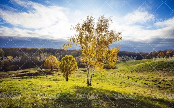 تصویر با کیفیت چشم انداز زیبای آسمان آبی همراه با منظره و طبیعت زیبا