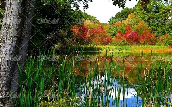 تصویر با کیفیت چشم انداز زیبای دریاچه همراه با منظره و طبیعت زیبا
