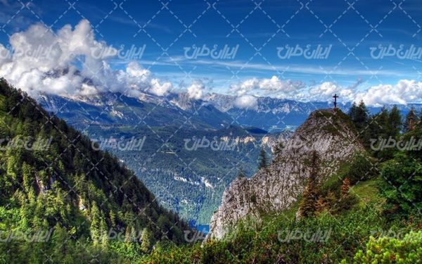 تصویر با کیفیت چشم انداز زیبای جنگل همراه با منظره و طبیعت زیبا