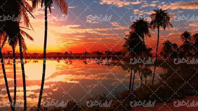تصویر با کیفیت منظره زیبای غروب آفتاب همراه با دریاچه و درخت