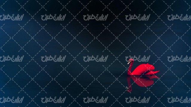 تصویر با کیفیت قوی زیبای در حال شنا همراه با دریاچه و آب
