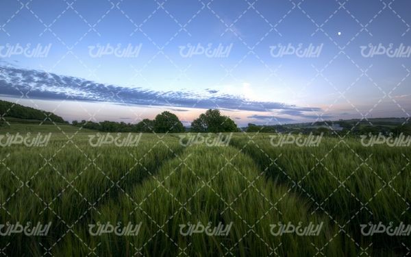 تصویر با کیفیت چشم انداز زیبای غروب آفتاب همراه با منظره و طبیعت زیبا