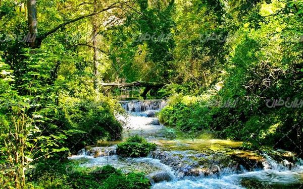 تصویر با کیفیت چشم انداز زیبای آبشار همراه با منظره و طبیعت زیبا