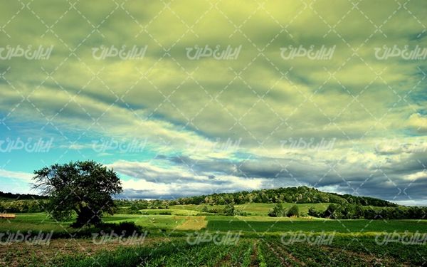 تصویر با کیفیت چشم انداز زیبای زمین کشاورزی همراه با منظره و طبیعت زیبا