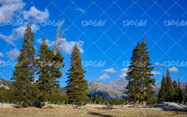تصویر با کیفیت چشم انداز زیبای آسمان آبی همراه با منظره دیدنی و طبیعت زیبا