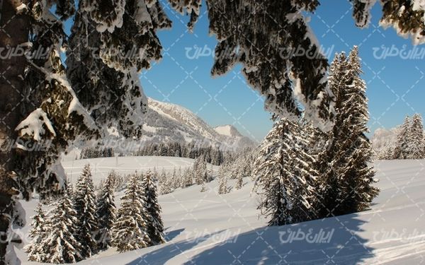 تصویر با کیفیت طبیعت زمستانی به همراه برف و طبیعت برفی