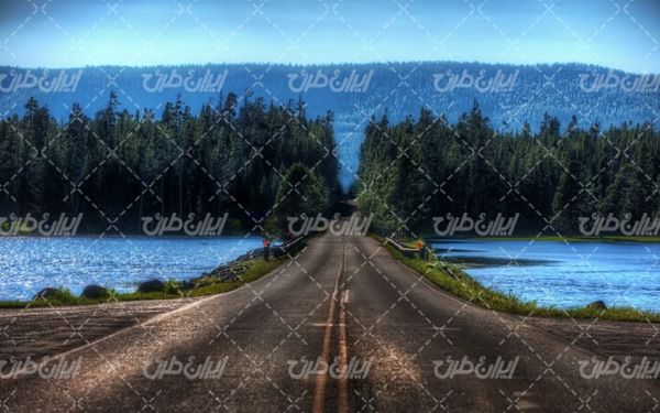 تصویر با کیفیت چشم انداز زیبای جنگل همراه با منظره دیدنی و طبیعت زیبا