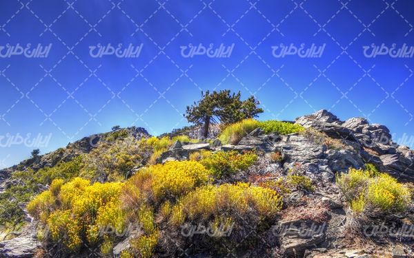 تصویر با کیفیت چشم انداز زیبای کوه همراه با منظره دیدنی و طبیعت زیبا