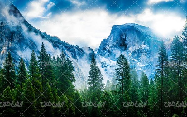 تصویر با کیفیت چشم انداز زیبای جنگل همراه با منظره دیدنی و طبیعت زیبا