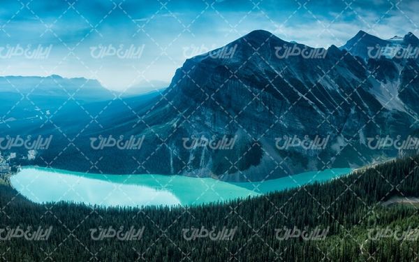 تصویر با کیفیت چشم انداز زیبای جنگل همراه با منظره دیدنی و طبیعت زیبا