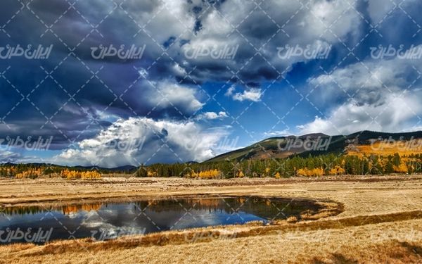 تصویر با کیفیت چشم انداز زیبای جنگل همراه با منظره دیدنی و طبیعت زیبا