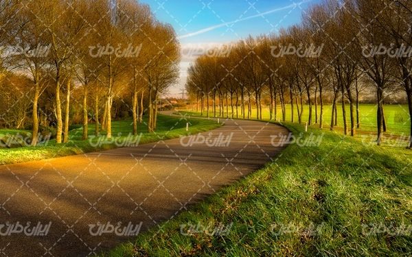 تصویر با کیفیت چشم انداز زیبای جاده همراه با منظره دیدنی و طبیعت زیبا