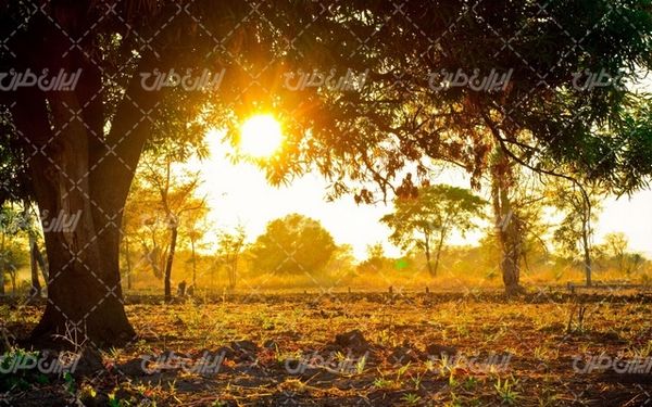 تصویر با کیفیت چشم انداز زیبای غروب آفتاب همراه با منظره دیدنی و طبیعت زیبا