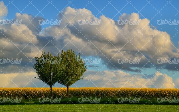 تصویر با کیفیت چشم انداز زیبای مزرعه همراه با منظره دیدنی و طبیعت زیبا