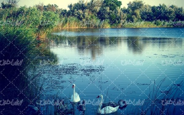 تصویر با کیفیت چشم انداز زیبای دریاچه همراه با منظره دیدنی و طبیعت زیبا