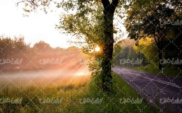 تصویر با کیفیت چشم انداز زیبای جاده همراه با منظره دیدنی و طبیعت زیبا