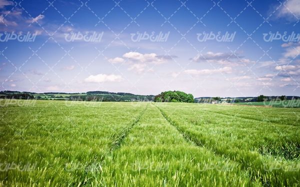 تصویر با کیفیت چشم انداز زیبای مزرعه همراه با منظره دیدنی و طبیعت زیبا