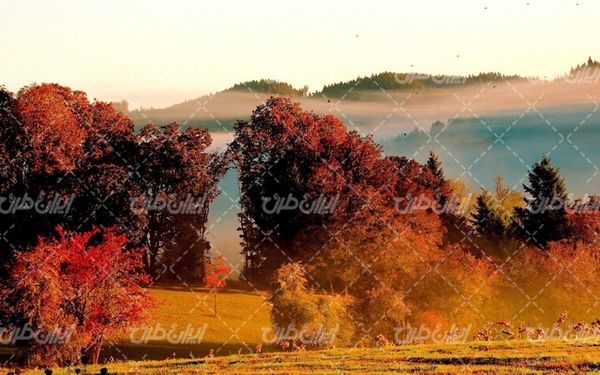 تصویر با کیفیت چشم انداز زیبای فصل پاییز همراه با منظره دیدنی و طبیعت زیبا