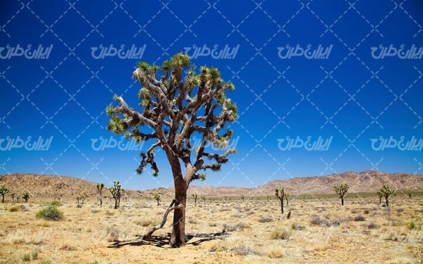 تصویر با کیفیت چشم انداز زیبای آسمان آبی همراه با منظره دیدنی و طبیعت زیبا