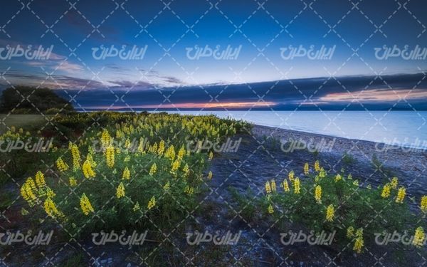 تصویر با کیفیت چشم انداز زیبای ساحل دریا همراه با منظره دیدینی و طبیعت زیبا
