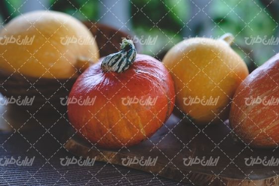 تصویر با کیفیت میوه پاییزی  همراه با کدو و عکس میوه پاییزی