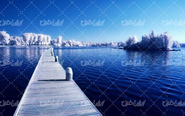 تصویر با کیفیت چشم انداز فصل زمستان به همراه برف و طبیعت برفی