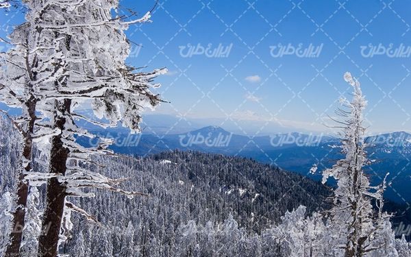 تصویر با کیفیت منظره زیبای زمستان به همراه برف و طبیعت برفی