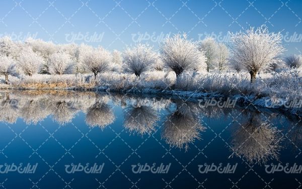 تصویر با کیفیت منظره زیبای زمستان به همراه برف و طبیعت برفی