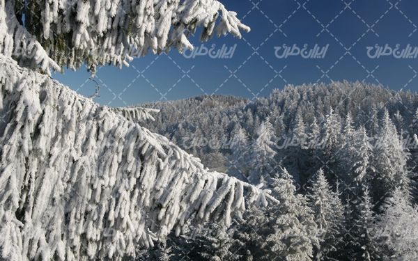 تصویر با کیفیت منظره زیبای زمستان به همراه برف و طبیعت برفی