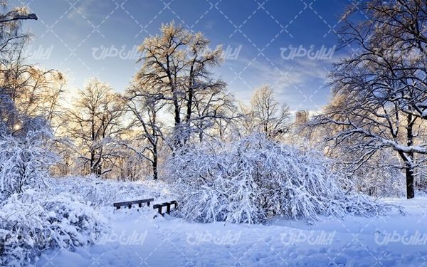 تصویر با کیفیت منظره زیبای زمستان به همراه برف و طبیعت برفی