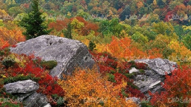 تصویر با کیفیت صخره همراه با چشم انداز زیبایی طبیعت و فصل پاییز