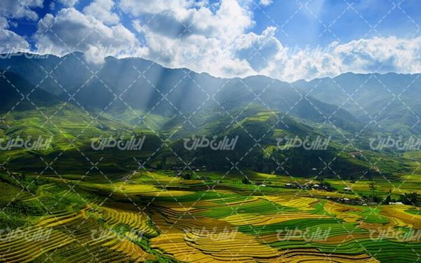 تصویر با کیفیت مزرعه همراه با چشم انداز زیبایی طبیعت و کوه