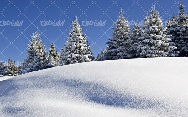 تصویر با کیفیت منظره زیبای زمستان به همراه برف و طبیعت برفی
