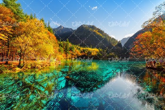 تصویر با کیفیت دریاچه همراه با چشم انداز زیبایی طبیعت و فصل پاییز