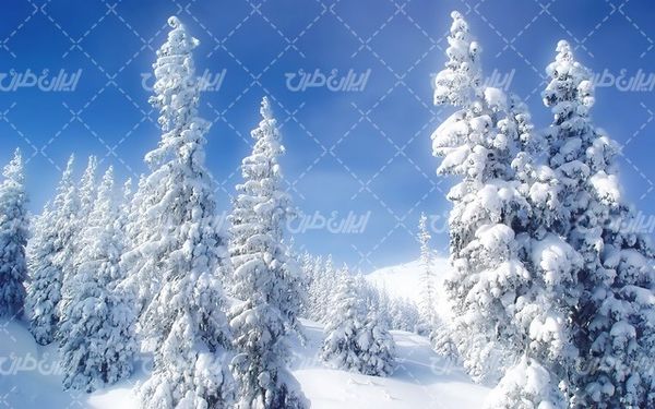 تصویر با کیفیت منظره زیبای زمستان به همراه برف و طبیعت برفی