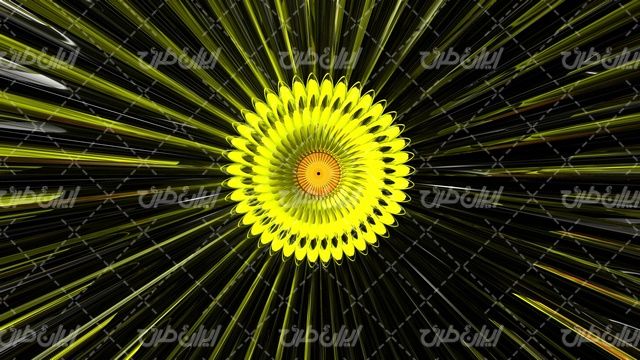 تصویر با کیفیت پس زمینه گل همراه با تصویر زمینه گل و بک گراند