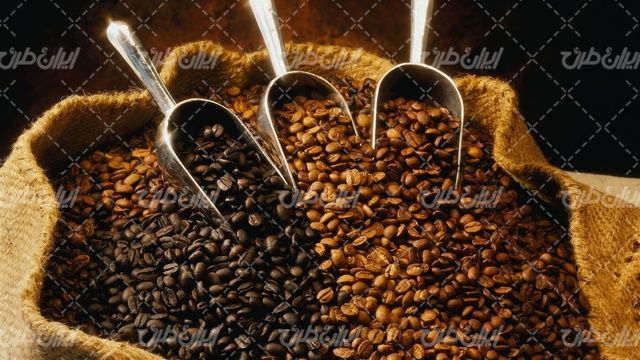 تصویر با کیفیت دون قهوه همراه با کیسه قهوه و قهوه رست شده