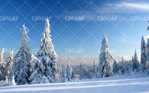 تصویر با کیفیت منظره زیبای زمستان به همراه برف و طبیعت برفی