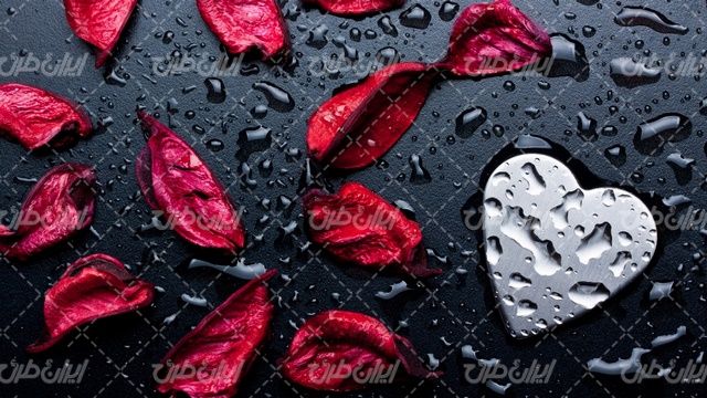 تصویر با کیفیت پس زمینه همراه با تصویر زمینه و بک گراند