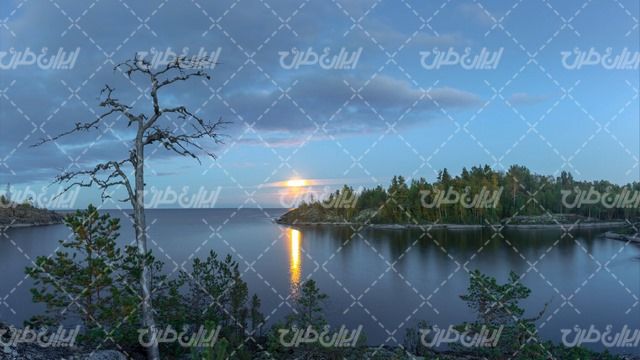 تصویر با کیفیت چشم انداز دریاچه همراه با غروب آفتاب و درخت