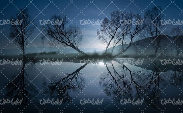 تصویر با کیفیت منظره زیبای دریاچه همراه با درخت و شب