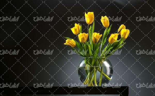تصویر با کیفیت گل طبیعی همراه با گلدان و گل های زرد
