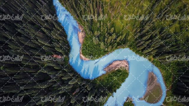تصویر با کیفیت چشم انداز زیبای رودخانه همراه با جنگل و درختان