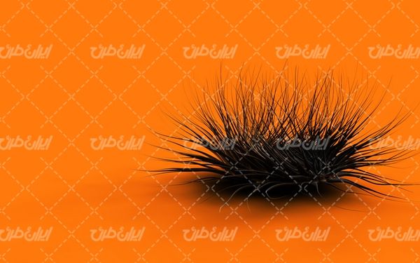 تصویر با کیفیت پس زمینه همراه با تصویر زمینه و بک گراند