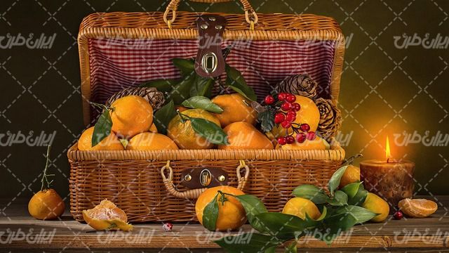 تصویر با کیفیت نارنگی همراه با میوه و چمدان مسافرتی