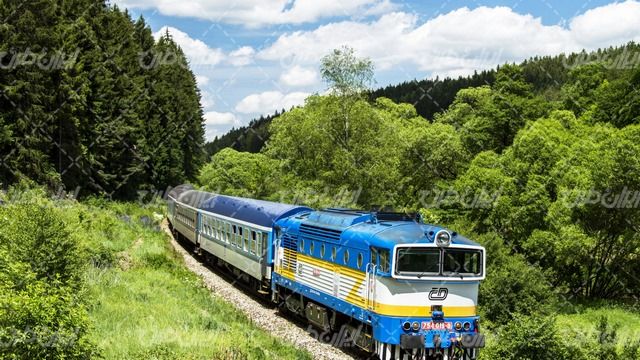 تصویر با کیفیت چشم انداز زیبای جنگل همراه با قطار و حمل و نقل ریلی