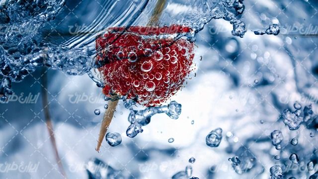 تصویر با کیفیت پس زمینه همراه با تصویر زمینه و بک گراند