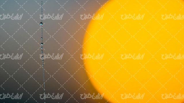 تصویر با کیفیت پس زمینه همراه با تصویر زمینه و بک گراند