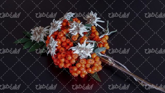 تصویر با کیفیت راه آهن همراه با حمل و نقل ریلی و خط آهن